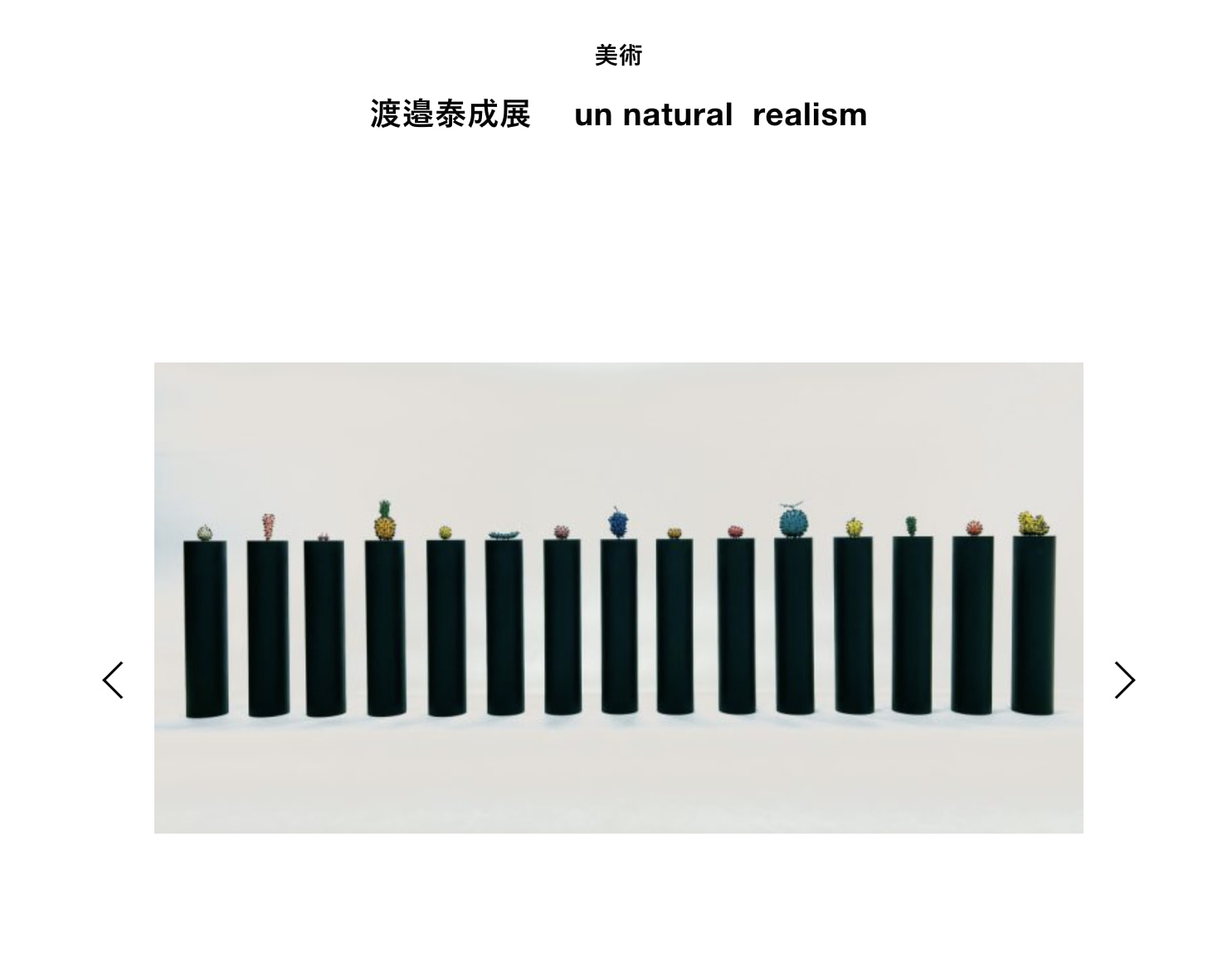 渡邉泰成展　 un natural  realism